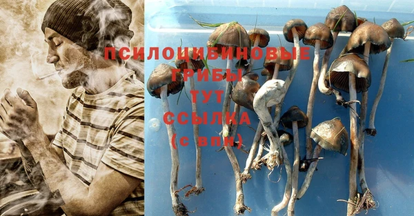 скорость Нязепетровск