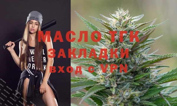 бошки Няндома