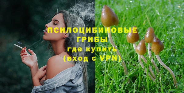 крисы Нягань