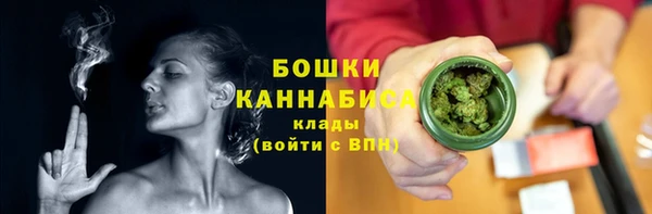 бошки Няндома