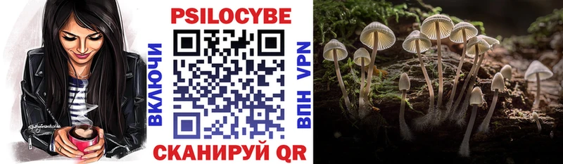 Галлюциногенные грибы Psilocybine cubensis Задонск